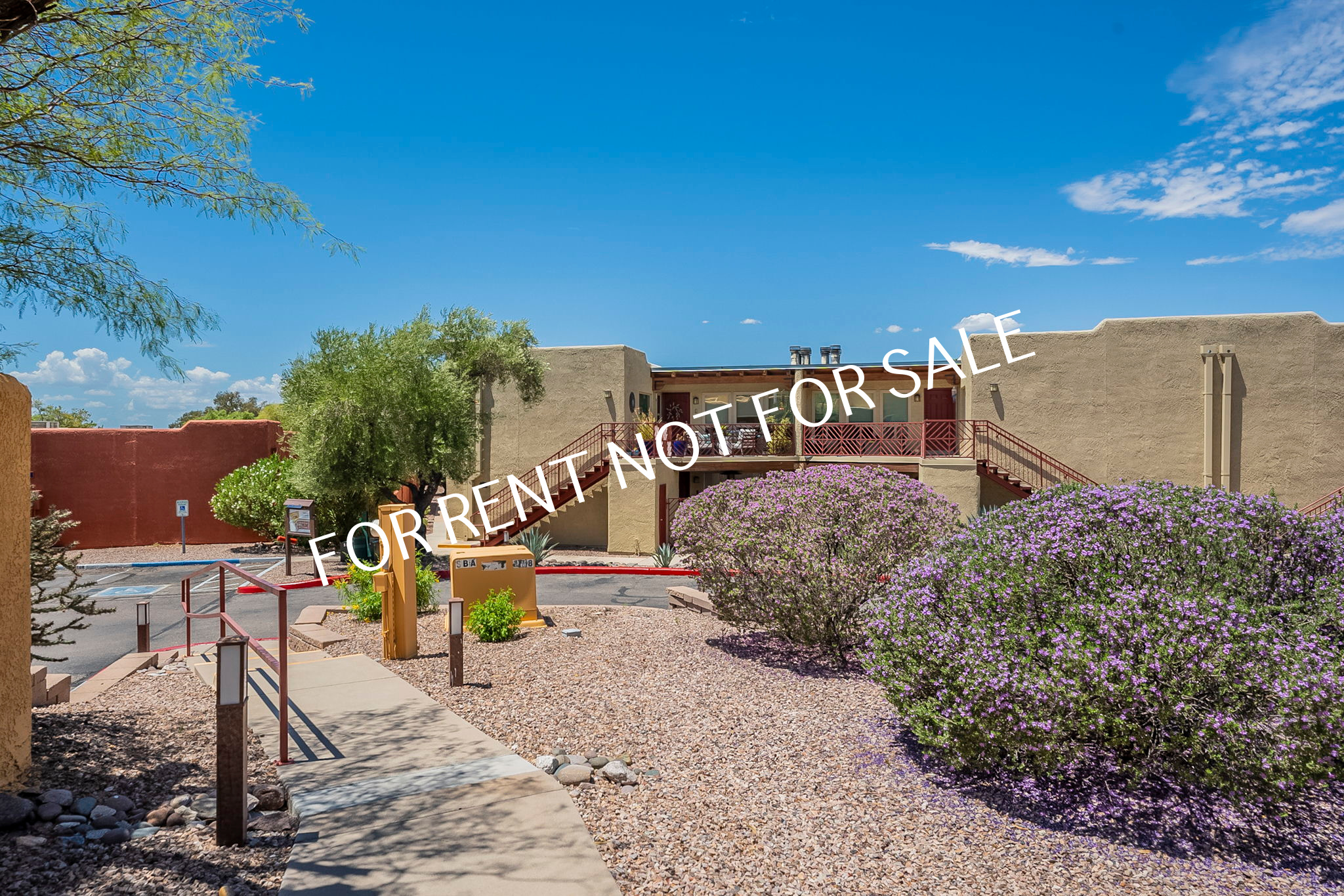 6255 North Camino Pimeria Alta Apt. 22 - 1